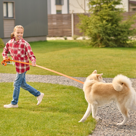 Good relation between human & pets