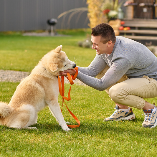 Keep Your Pet Happy and Healthy
