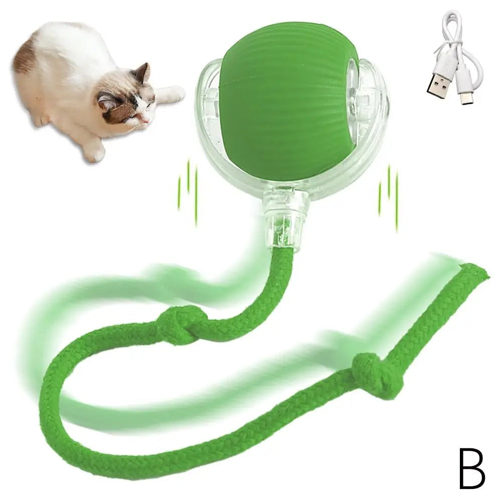 Interactive Rolling Cat Toy
