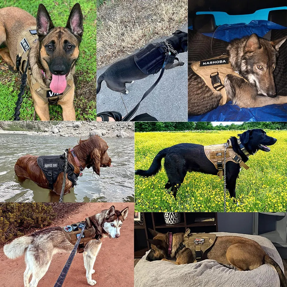 Tactical Dog Harness – Military Vest