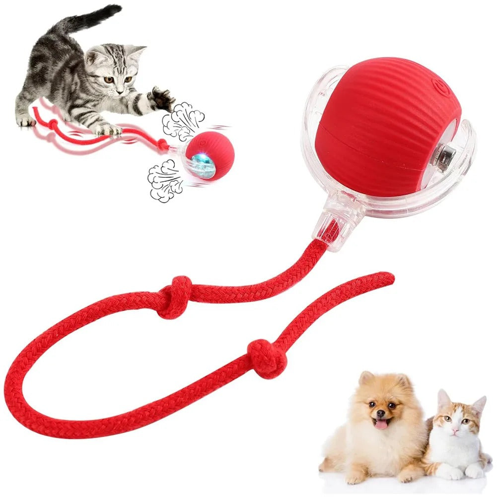 Interactive Rolling Cat Toy
