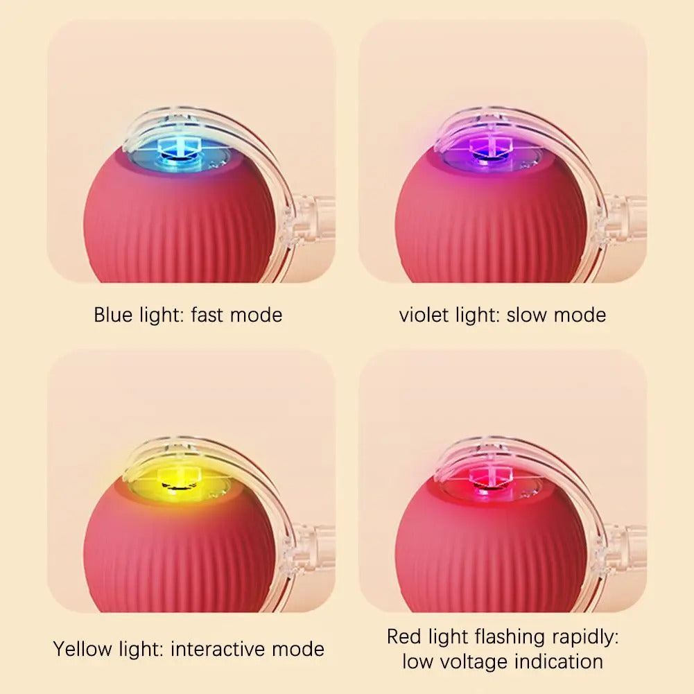 Interactive Rolling Cat Toy