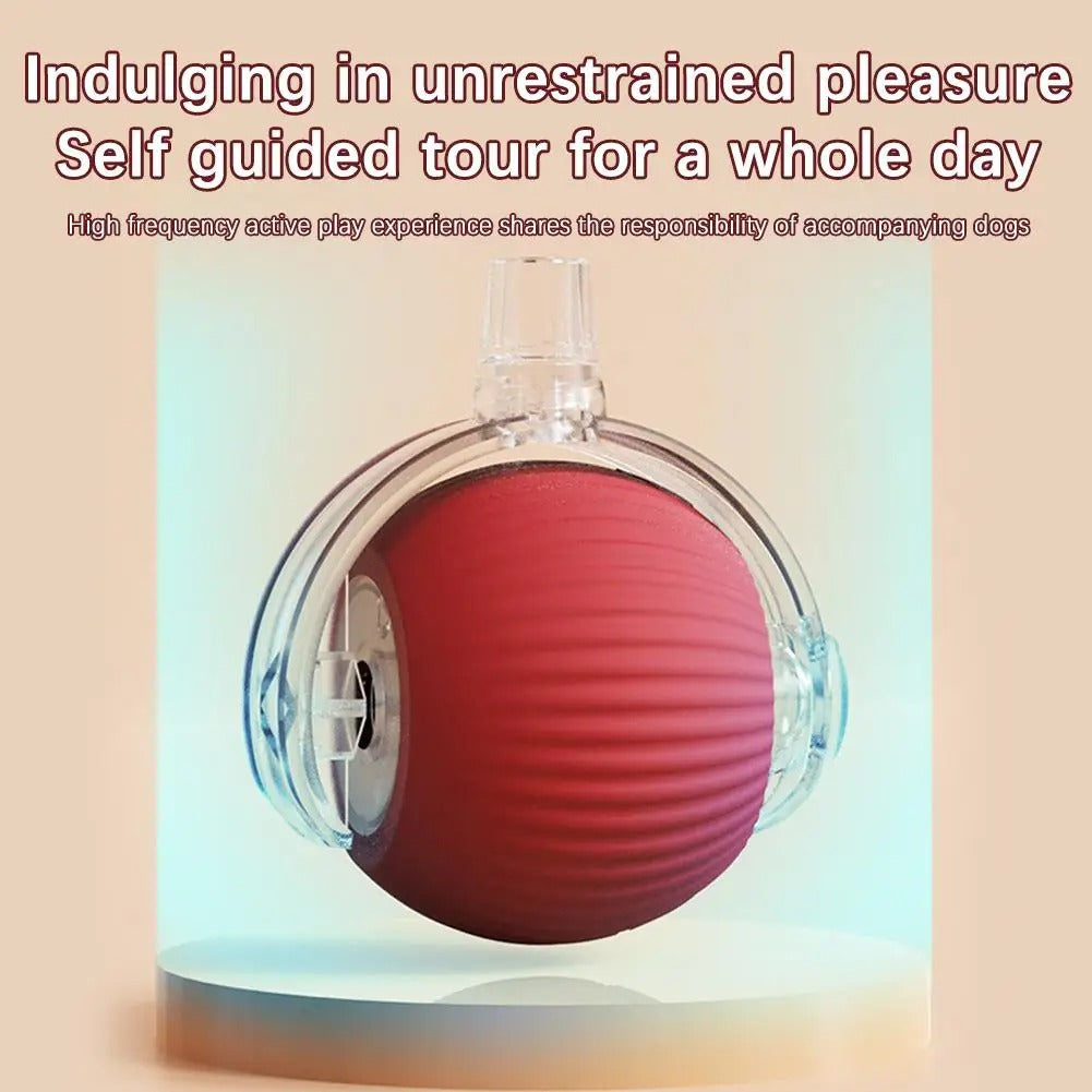 Interactive Rolling Cat Toy