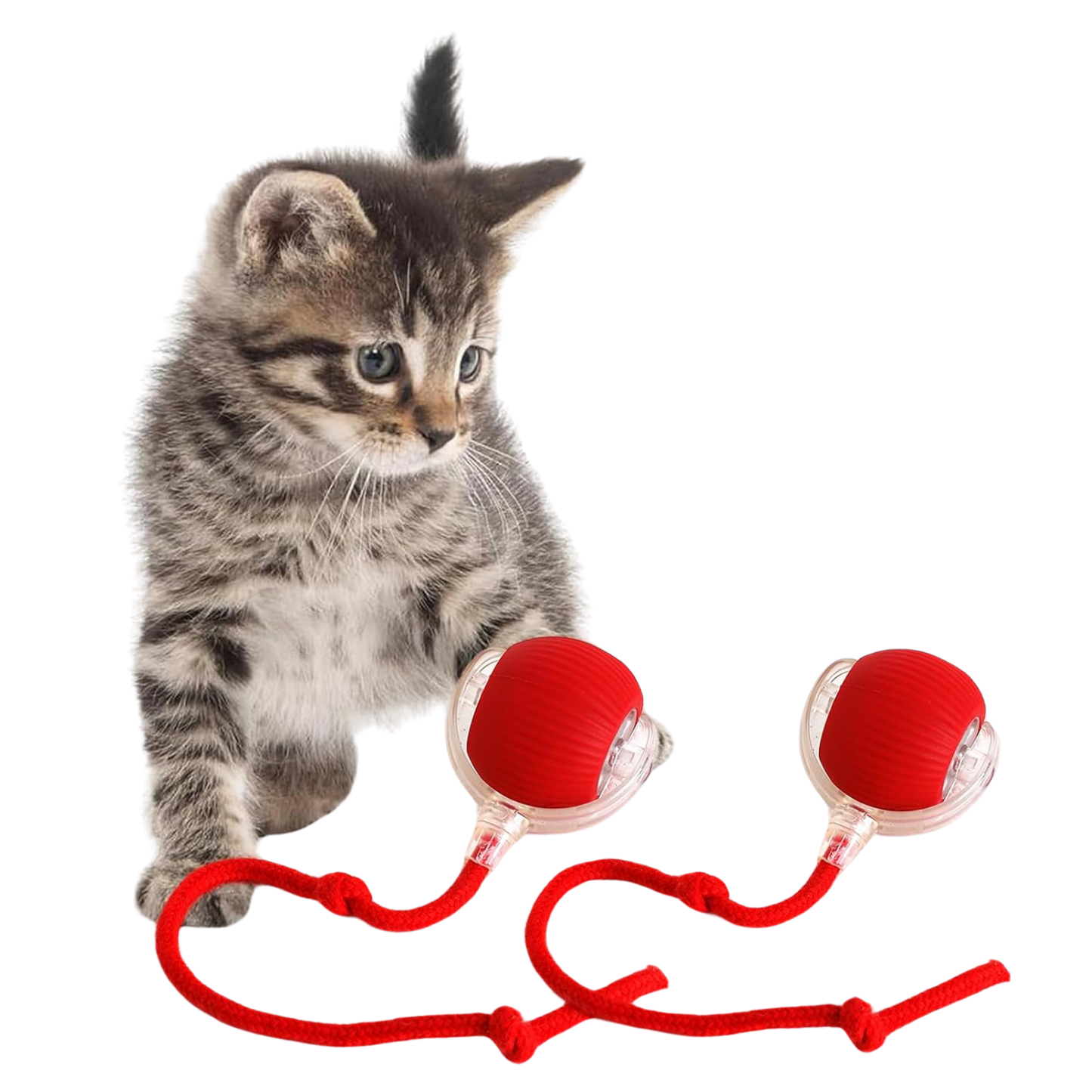 Interactive Rolling Cat Toy