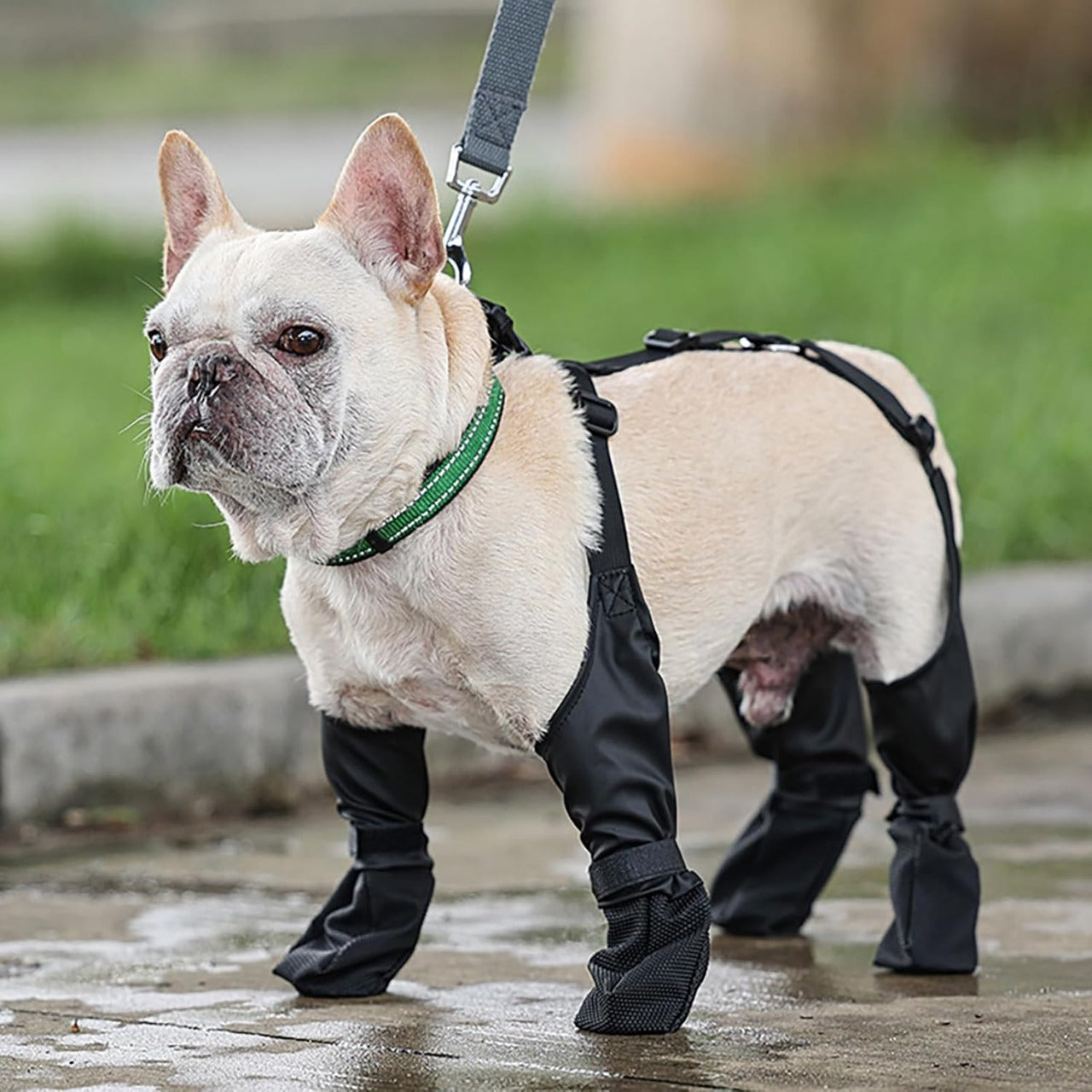 Anti-Slip Dog Shoes