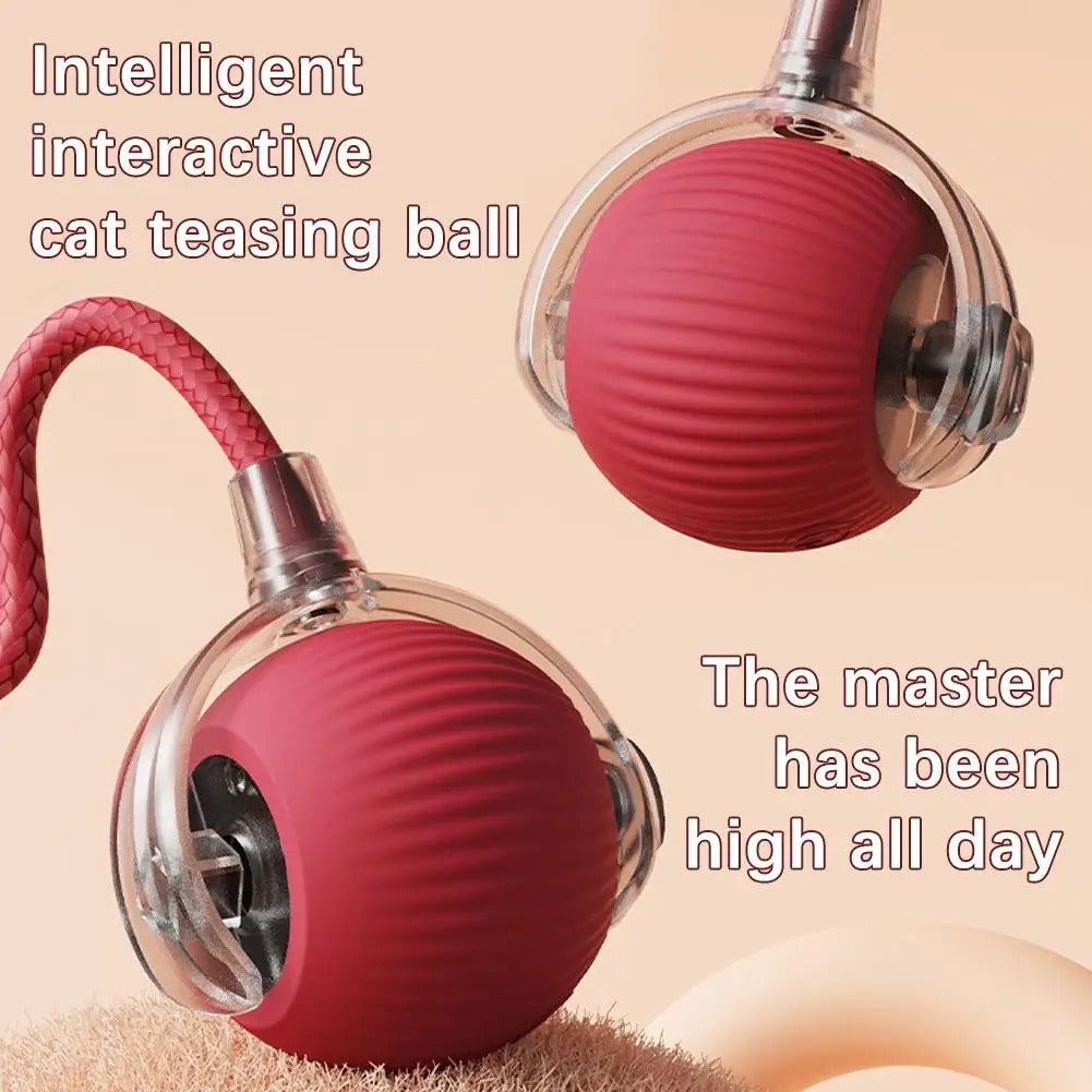 Interactive Rolling Cat Toy