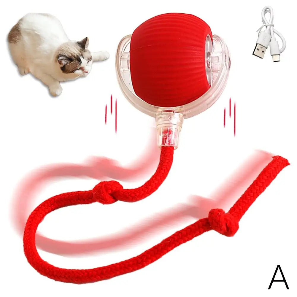 Interactive Rolling Cat Toy