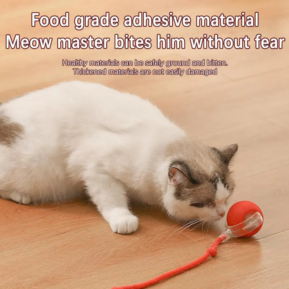 Interactive Rolling Cat Toy