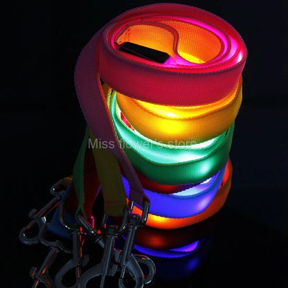 LED Nylon Dog Leash