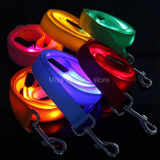 LED Nylon Dog Leash