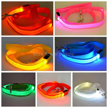 LED Nylon Dog Leash