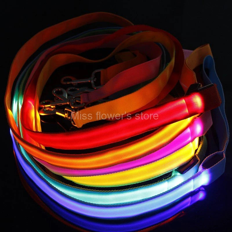 LED Nylon Dog Leash