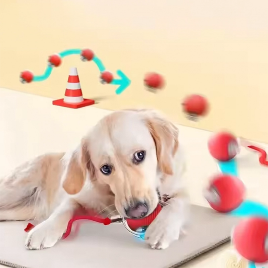 Interactive Rolling Cat Toy